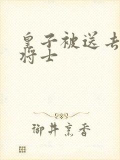 皇子被送去犒劳将士