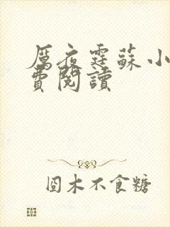 厉夜霆苏小汐免费阅读