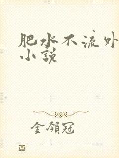 肥水不流外人田小说