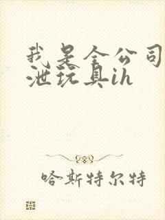 我是全公司的发泄玩具ih