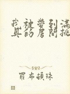 我被带到满是玩具的房间挑调游戏