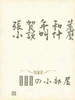 张贺年和叶繁姿小说叫什么名字