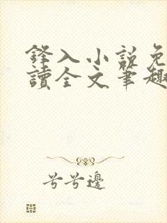 锋入小说免费阅读全文笔趣阁