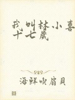 我叫林小喜今年十七岁