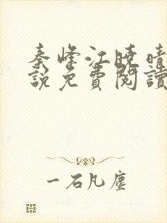 秦峰江晓晴的小说免费阅读