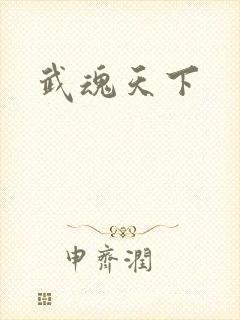 武魂天下