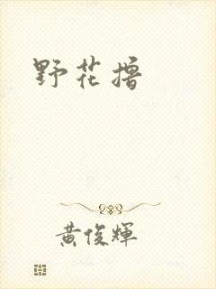野花撸