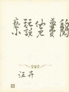 亵玩仙尊的道侣小说免费阅读