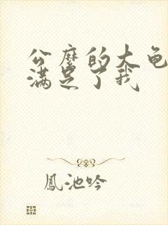 公么的大龟强大满足了我