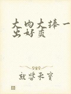 大肉大捧一进一出好爽