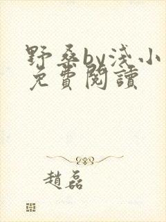 野桑by浅小说免费阅读