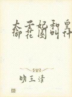 太子妃和皇帝在御花园叫什么小说