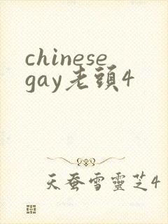chinesegay老头4