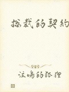 总裁的契约情人