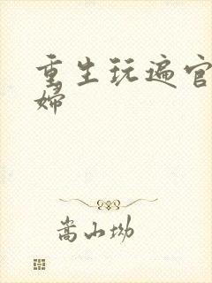 重生玩遍官场贵妇