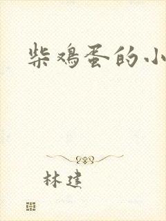 柴鸡蛋的小说