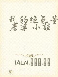 我的绝色董事长老婆 小说