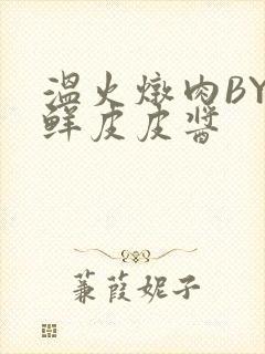 温火炖肉BY海鲜皮皮酱