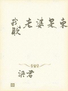 我老婆是东方不败