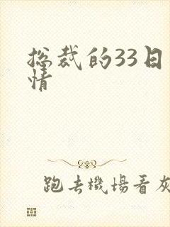 总裁的33日索情