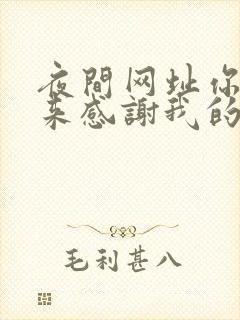 夜间网址你会回来感谢我的