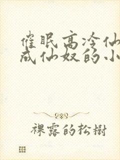 催眠高冷仙奴变成仙奴的小说