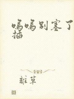 呜呜别塞了啊抽插