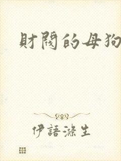 财阀的母狗们