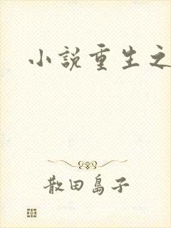 小说重生之官道