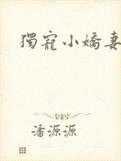 独宠小娇妻