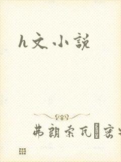 h文小说