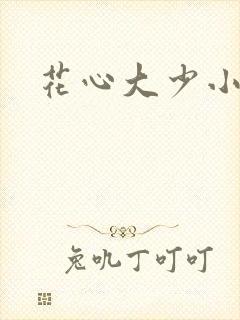 花心大少小说