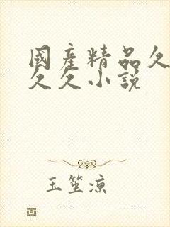 国产精品久久久久久小说