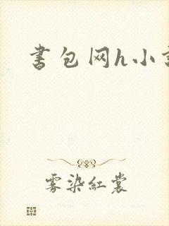 书包网h小说