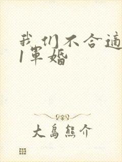 我们不合适1v1军婚