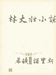林大壮小说阅读