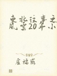 东北往事之黑道风云20年小说