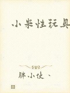 小米性玩具日记