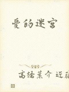 爱的迷宫