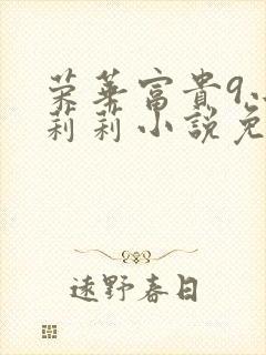 荣华富贵9小王莉莉小说免费阅读