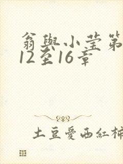 翁与小莹第十部12至16章