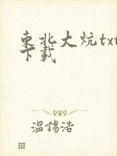 东北大炕txt下载