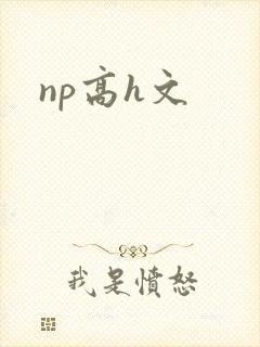 np高h文