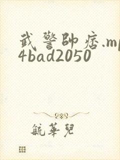 武警帅痞.mp4bad2050