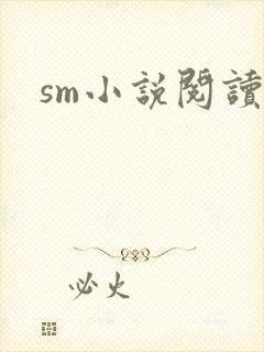 sm小说阅读