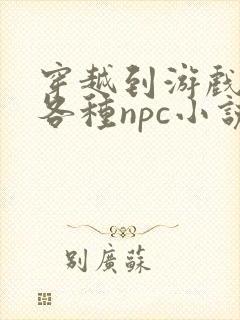 穿越到游戏里和各种npc小说