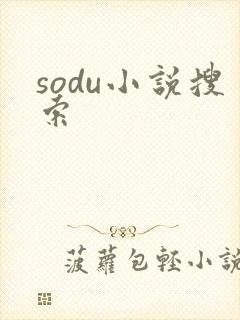 sodu小说搜索