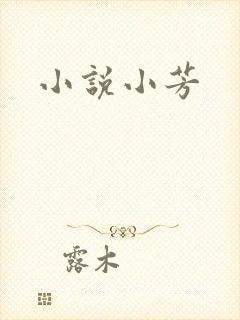 小说小芳
