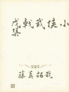 戊戟武侠小说全集