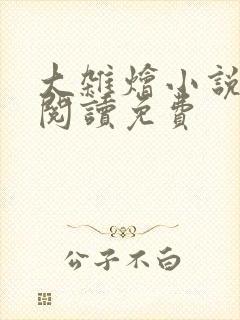 大杂烩小说全集阅读免费